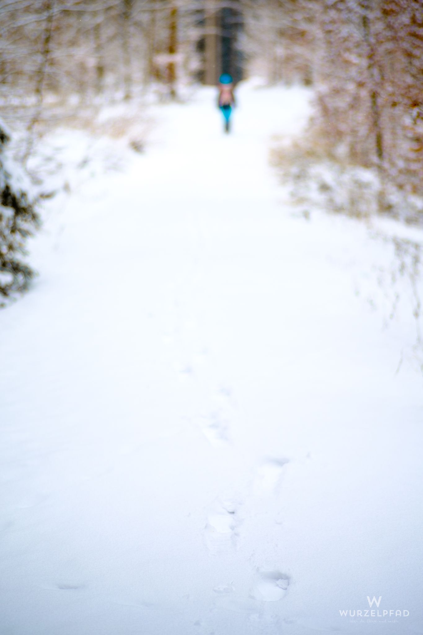 Spuren, Egling, Bayern, Deutschland, 2021